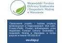 Projektowanie przyłączy - Stok Lacki